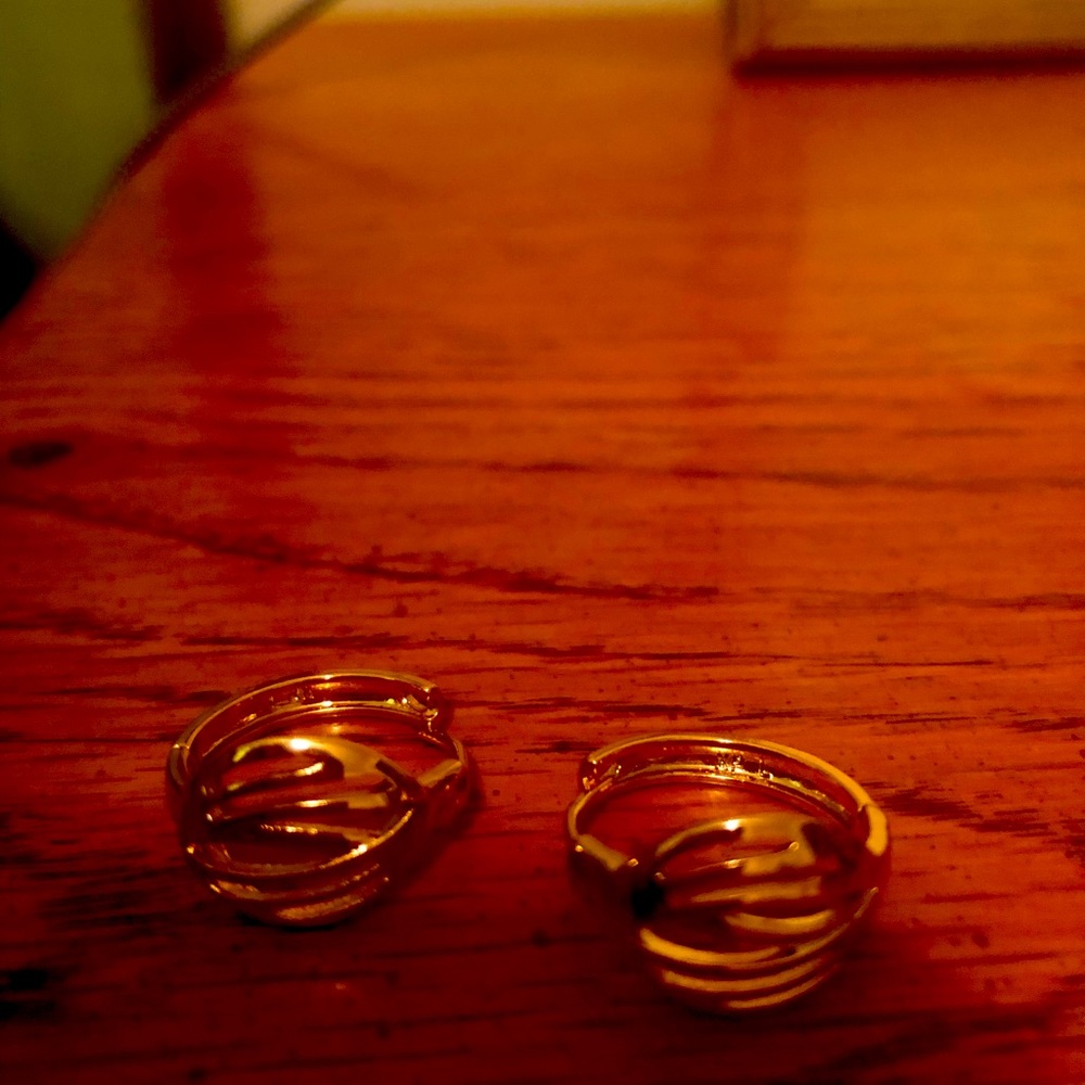 22k Gold Leaved Earrings